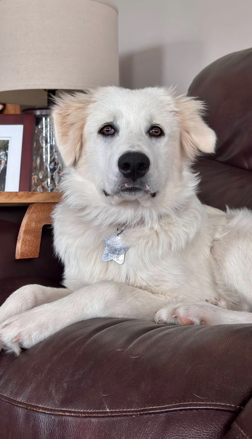 Zoe
